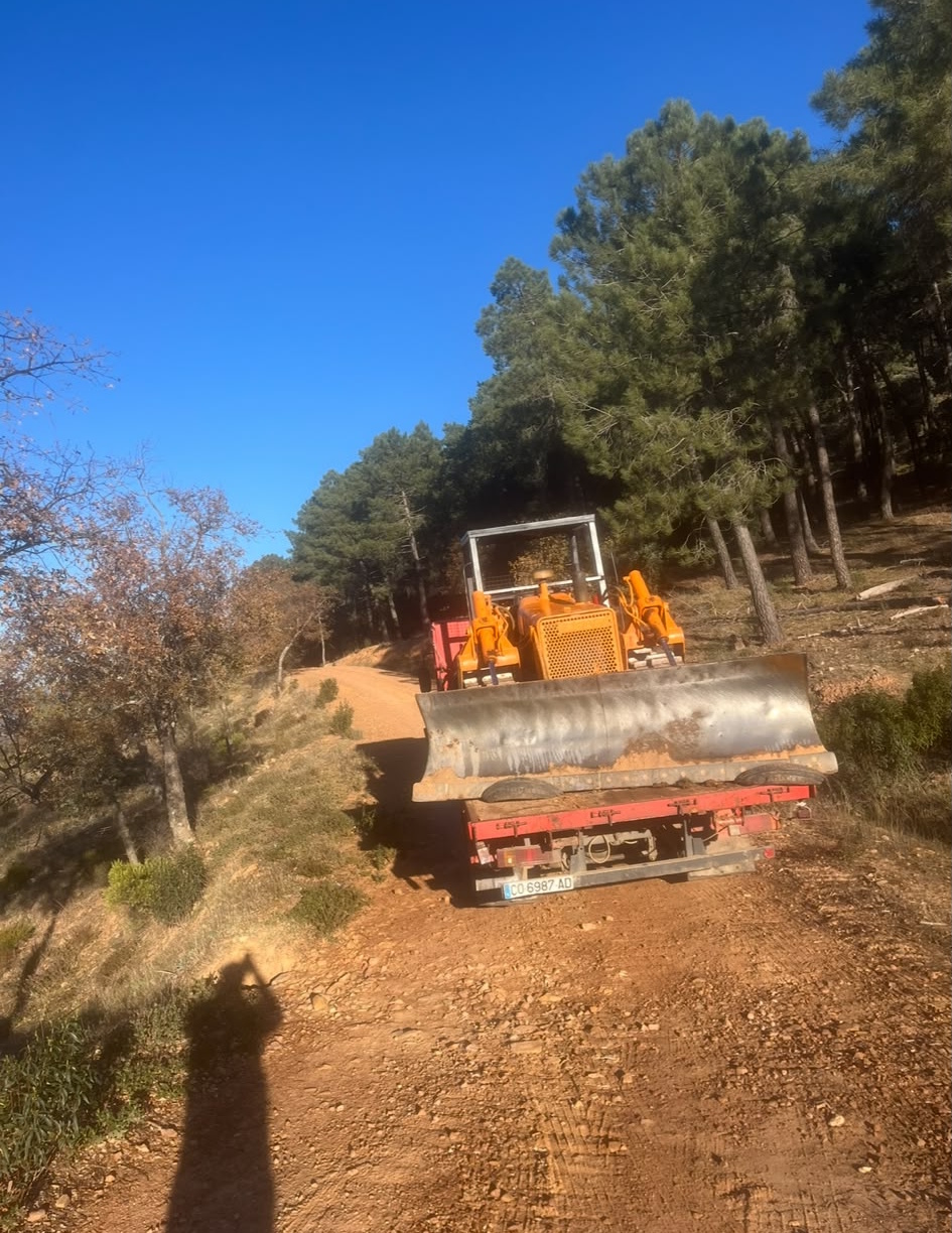 Trabajo agrícola adicional 2