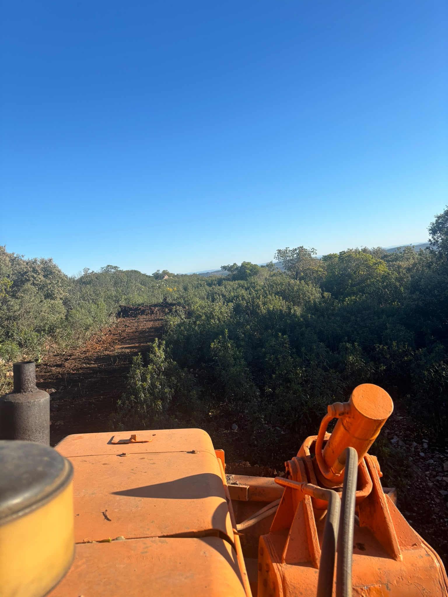 Trabajo agrícola adicional 4