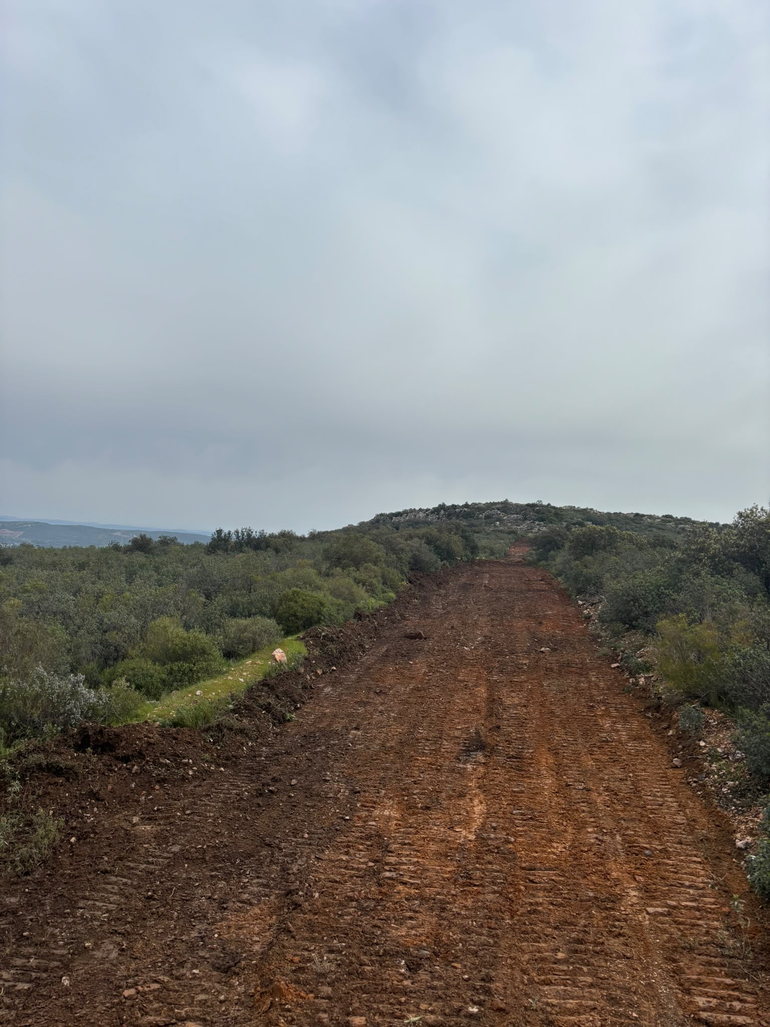 Trabajo agrícola adicional 5