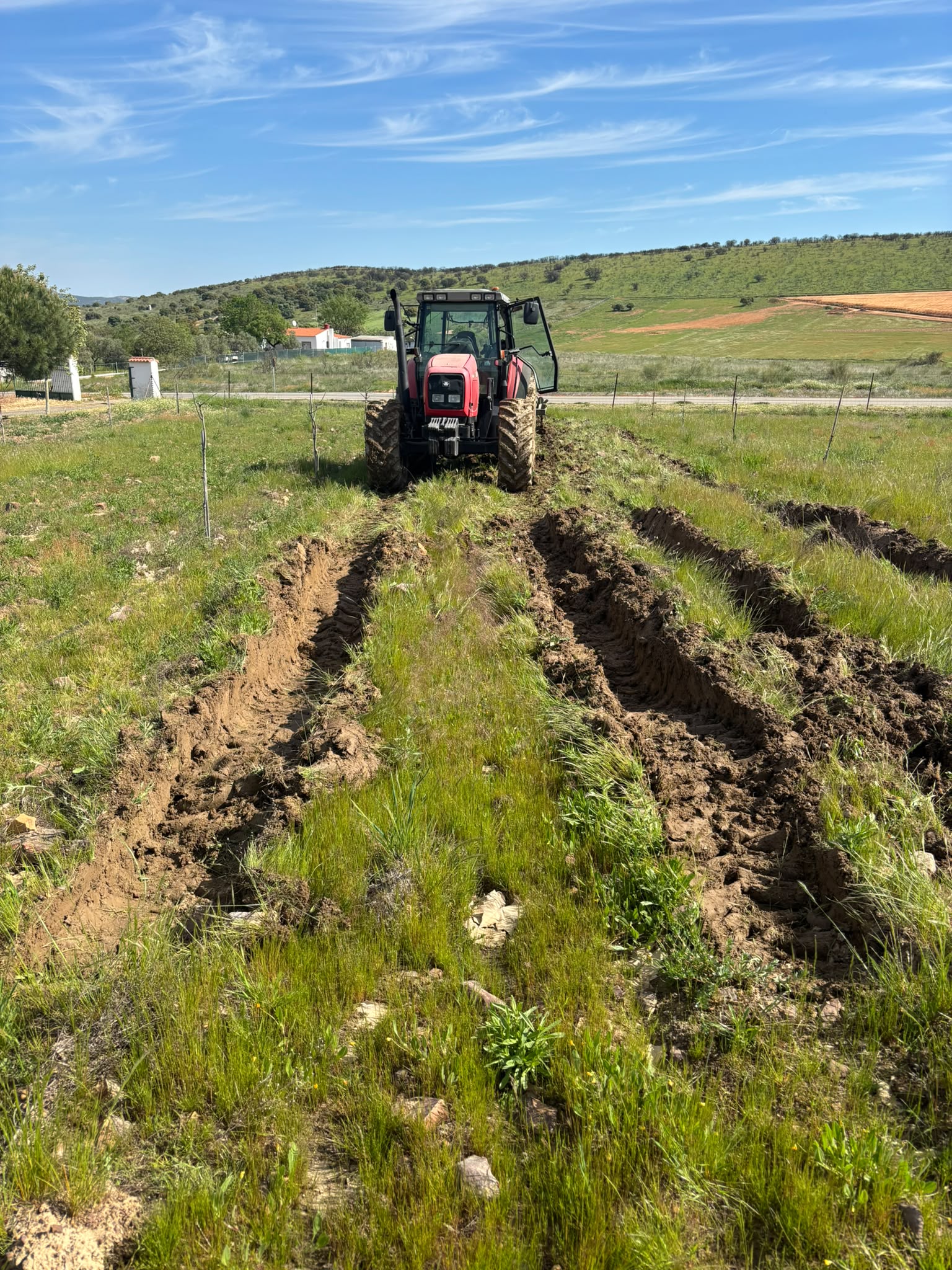Trabajo agrícola adicional 7