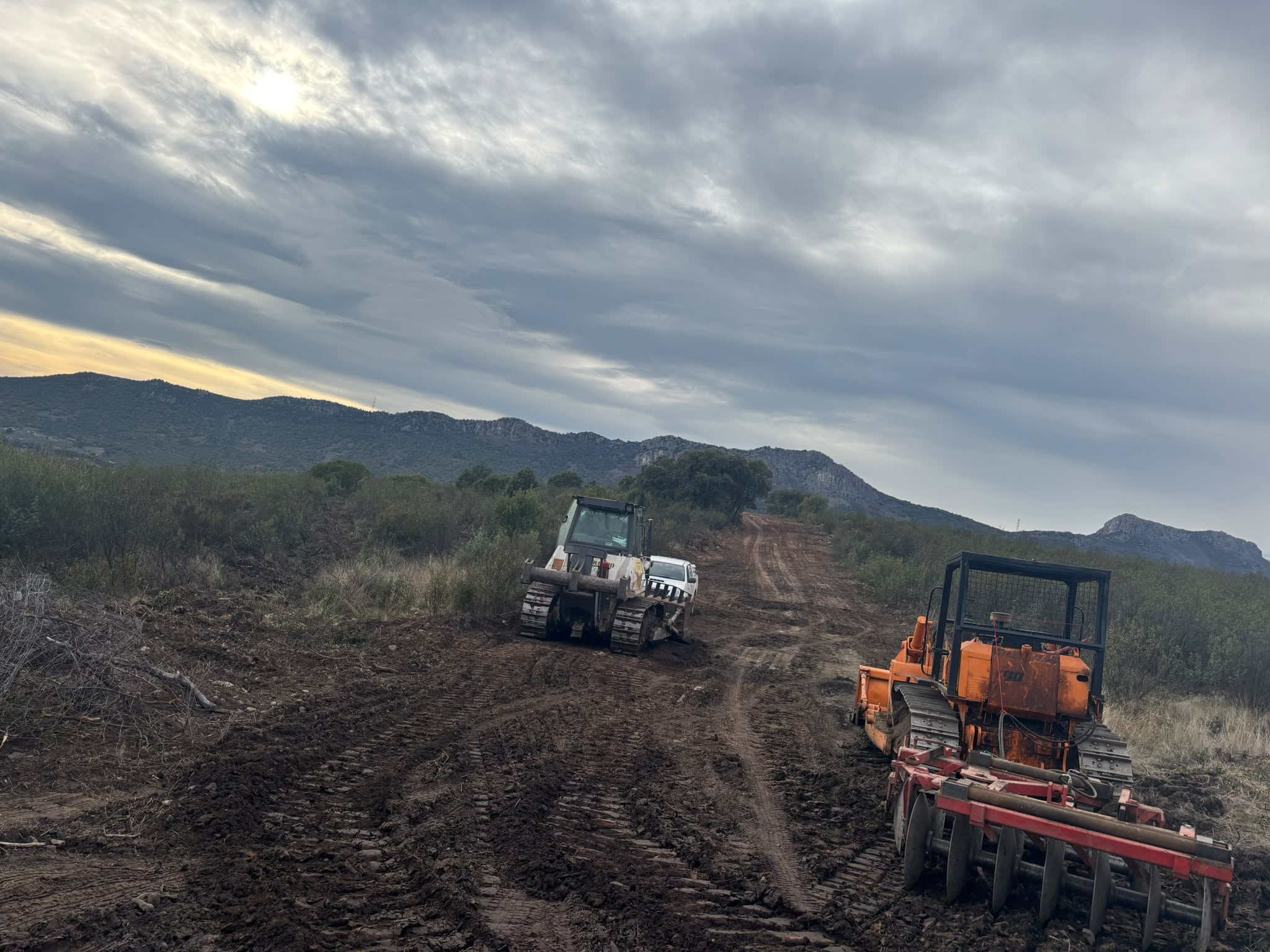 Trabajo agrícola adicional 9
