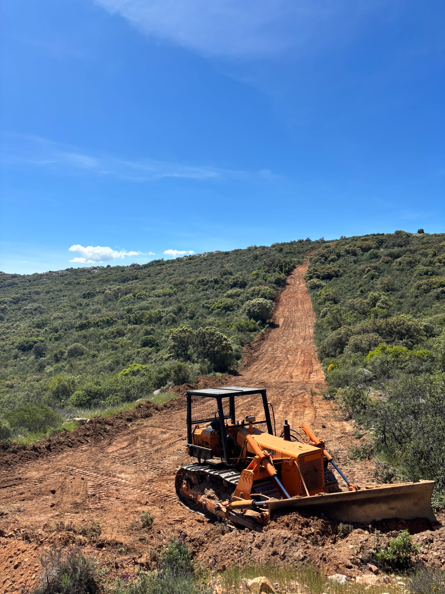 Trabajo agrícola en campo
