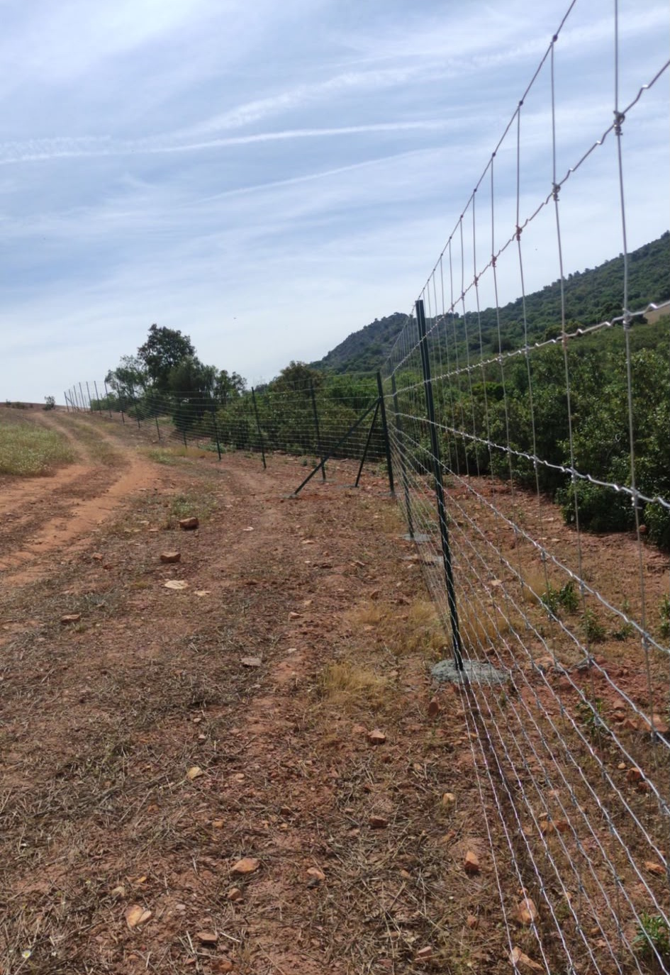 Foto destacada de mantenimiento de mallas y cierres